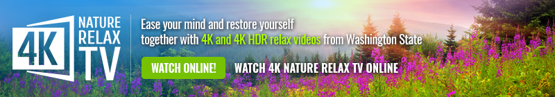 4K Relax TV streaming video service
