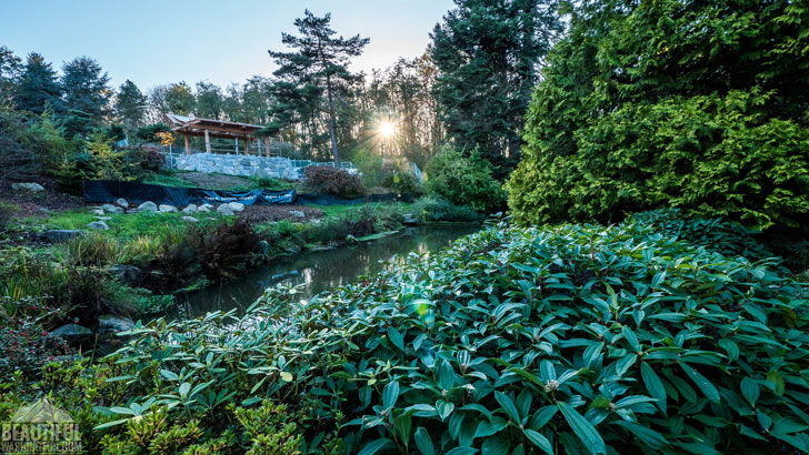 Photo from King County, Seattle, Kubota Garden
