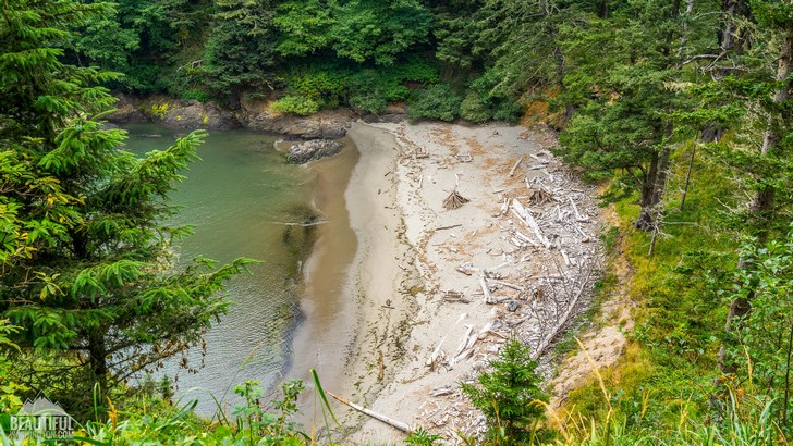 Photo from the Cape Disappointment Trail, located in Cape Disappointment State Park, Long Beach Area, Pacific County