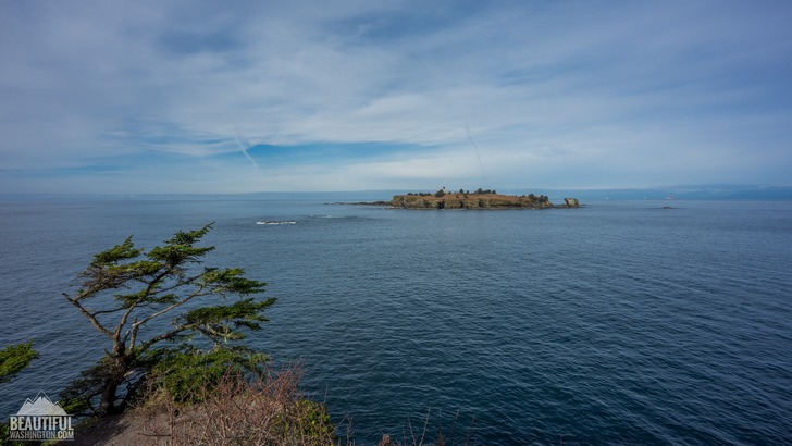 Photo from Cape Flattery Trail, Coast of the Olympic Peninsula