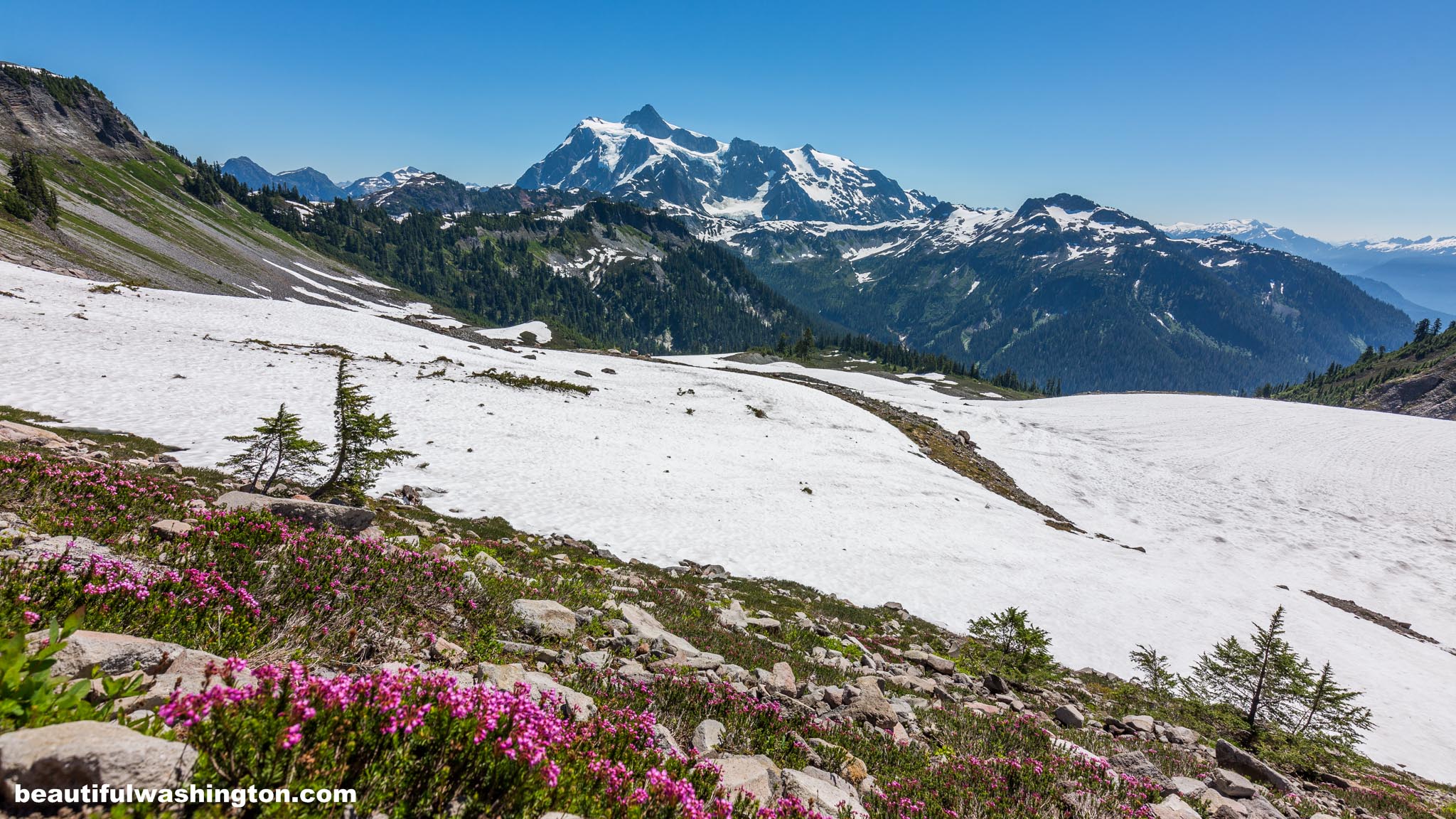 Photo from North Cascades, Mt. Baker Area, Chain Lakes Trail