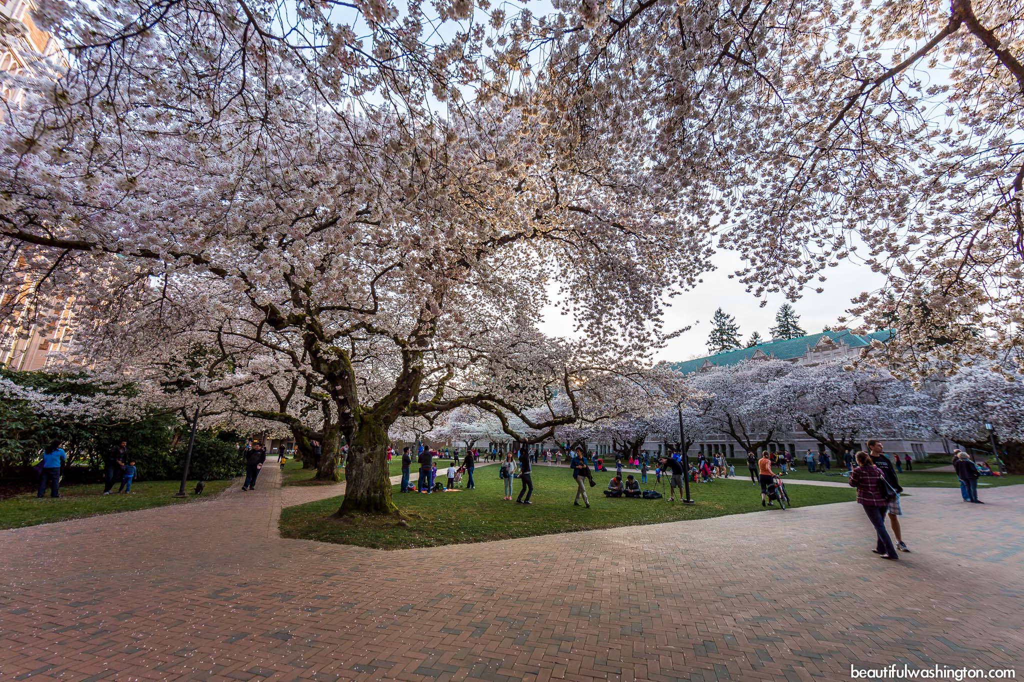 Photo from King County, Seattle, University of Washington