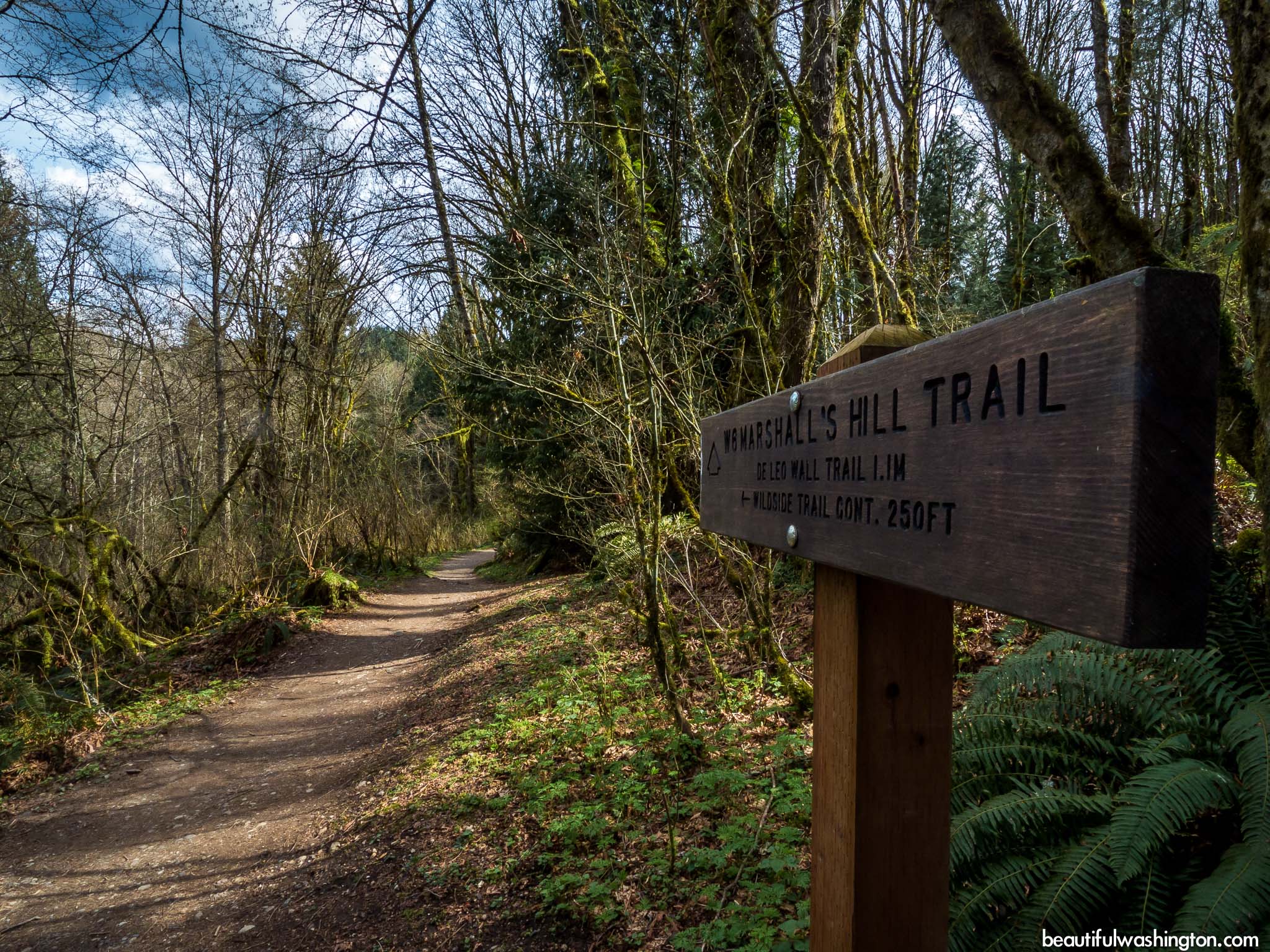 Photo from King County, Issaquah, Wildside Trail - De Leo Wall Trail