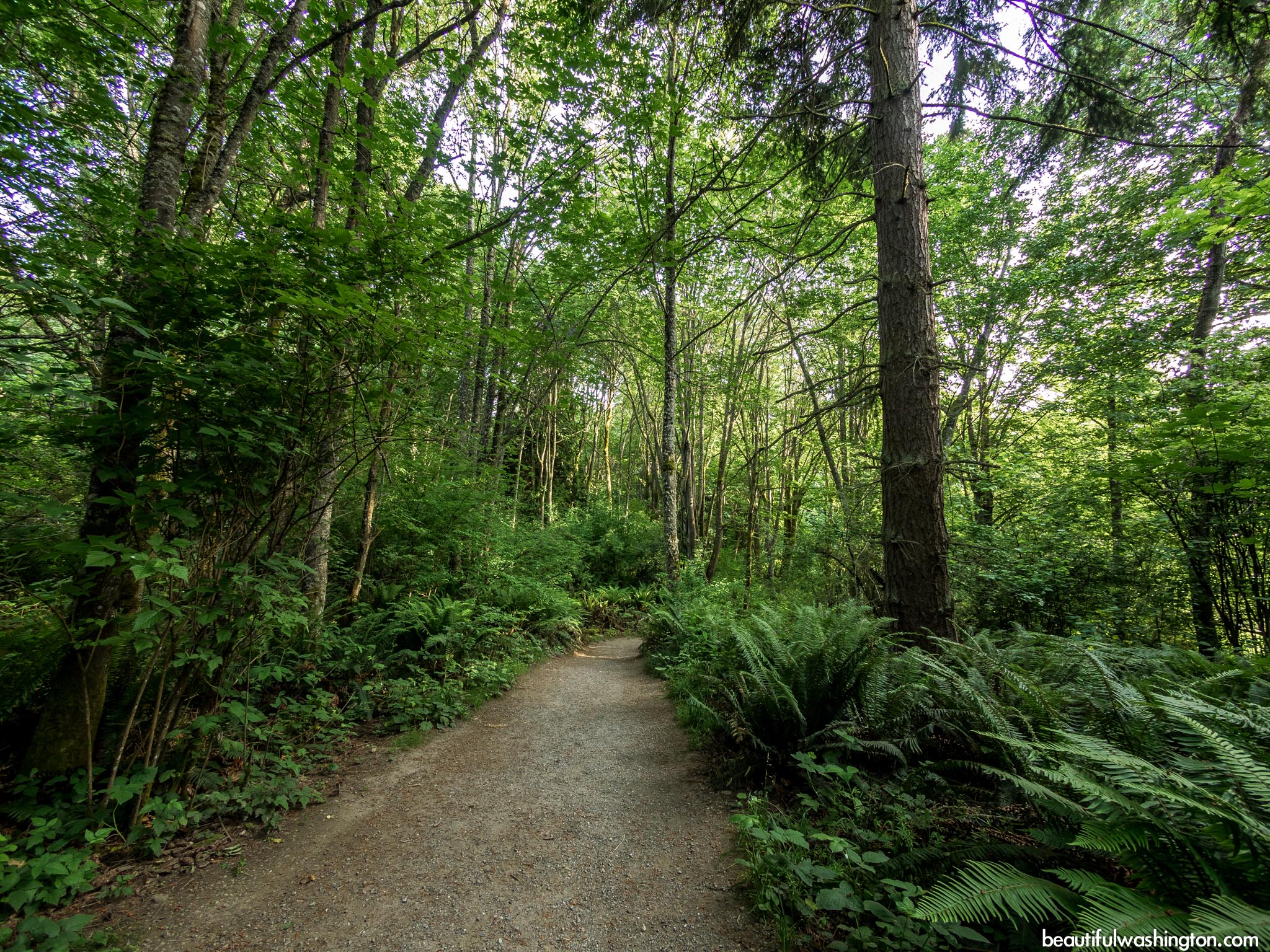 Photo from King County, Seattle, Discovery Park