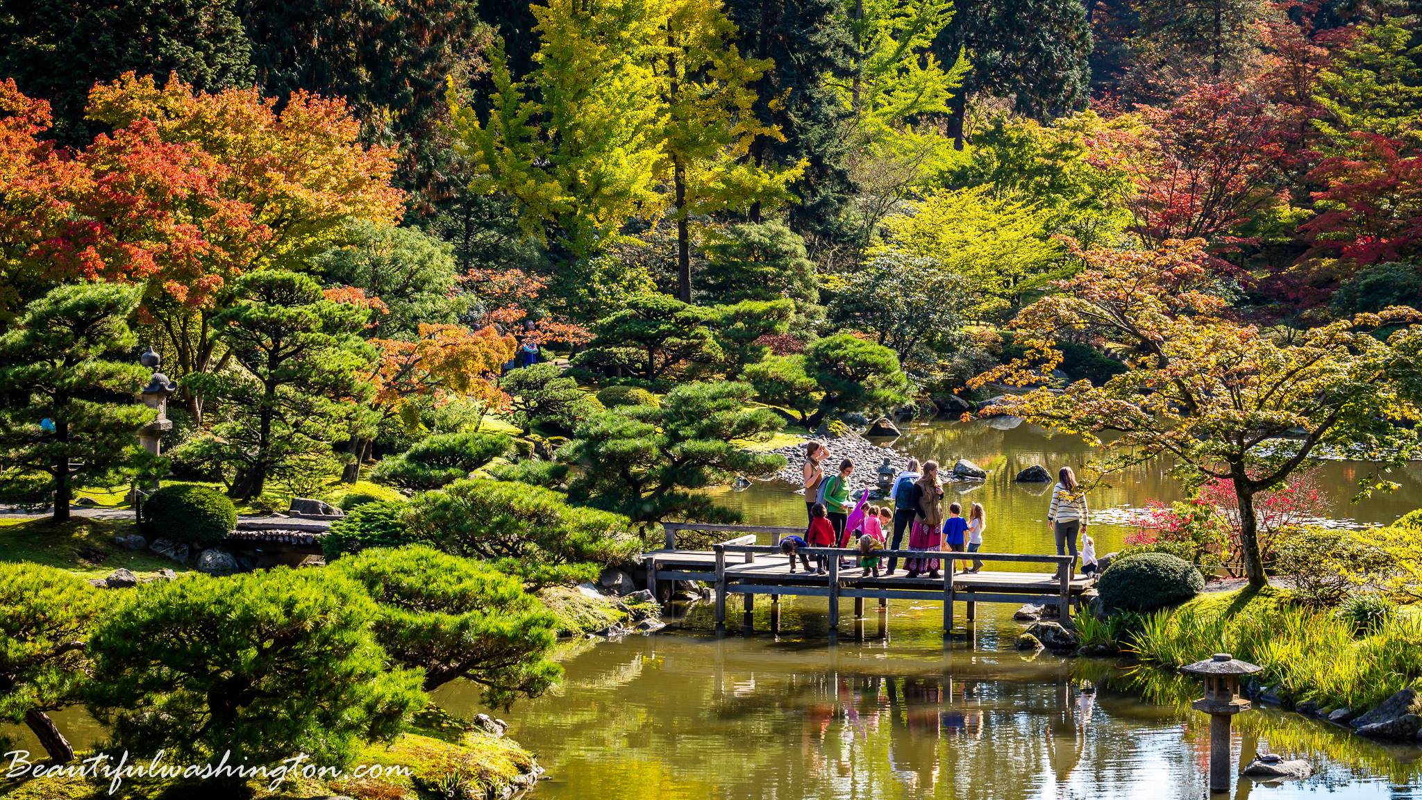 Photo taken at Seattle Japanese Garden