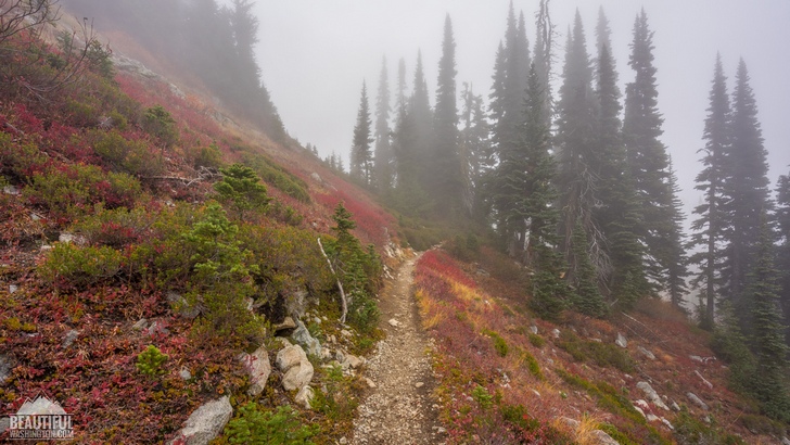 Photo from the Heather-Maple Pass Loop Trail, taken in autumn, North Cascades Region, Diablo Lake Area