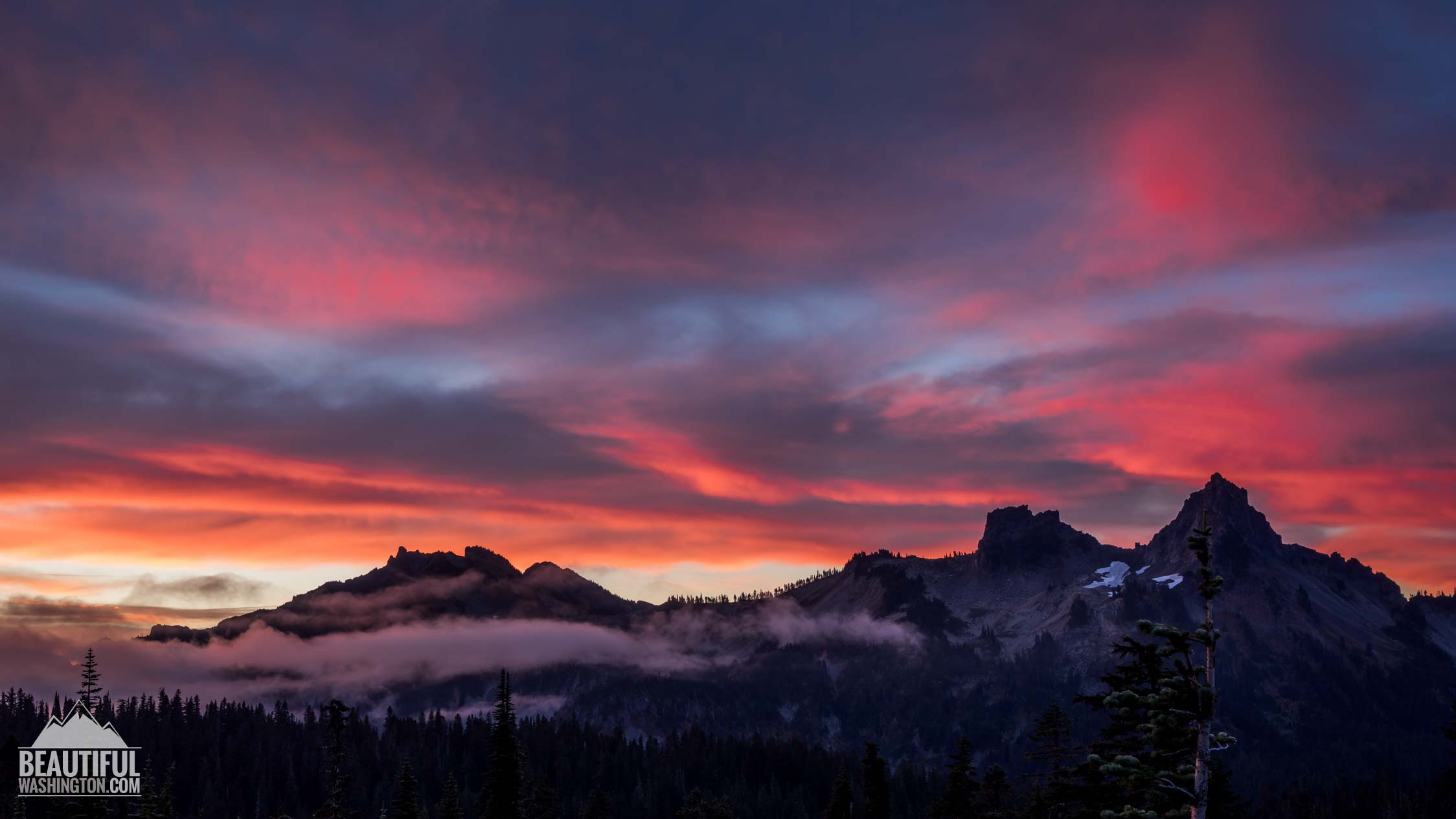 Photo from Mount Rainier National Park, Paradise Area, Henry M. Jackson Visitor Center