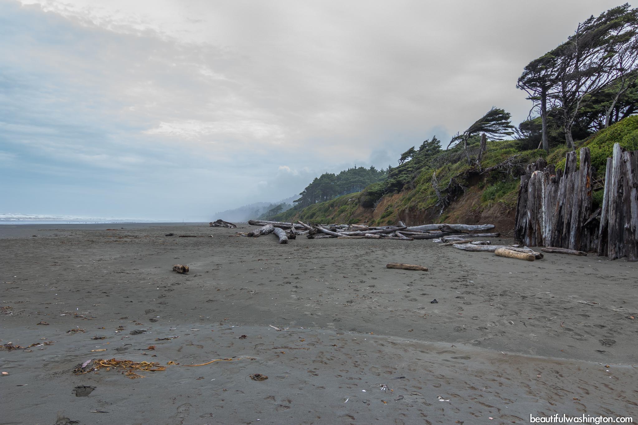 Photo from Olympic Peninsula, Kalaloch Browns Point Trail