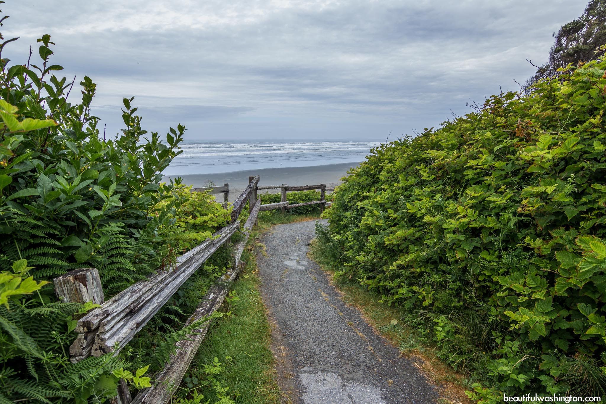 Photo from Olympic Peninsula, Kalaloch Browns Point Trail