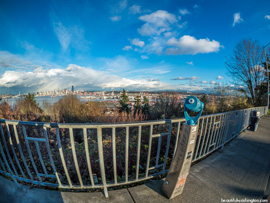 Belvedere Viewpoint 14
