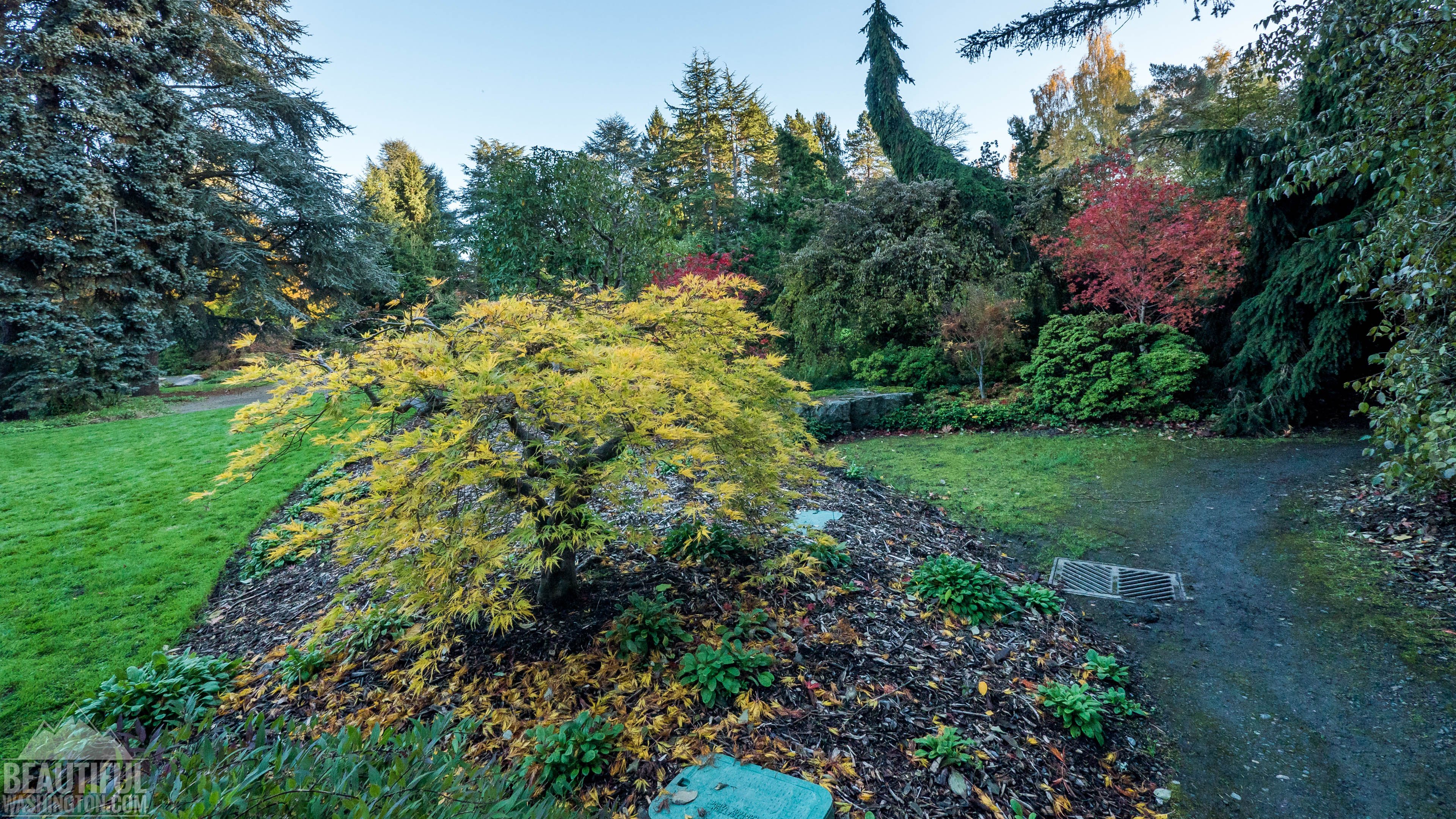 Photo from King County, Seattle, Kubota Garden