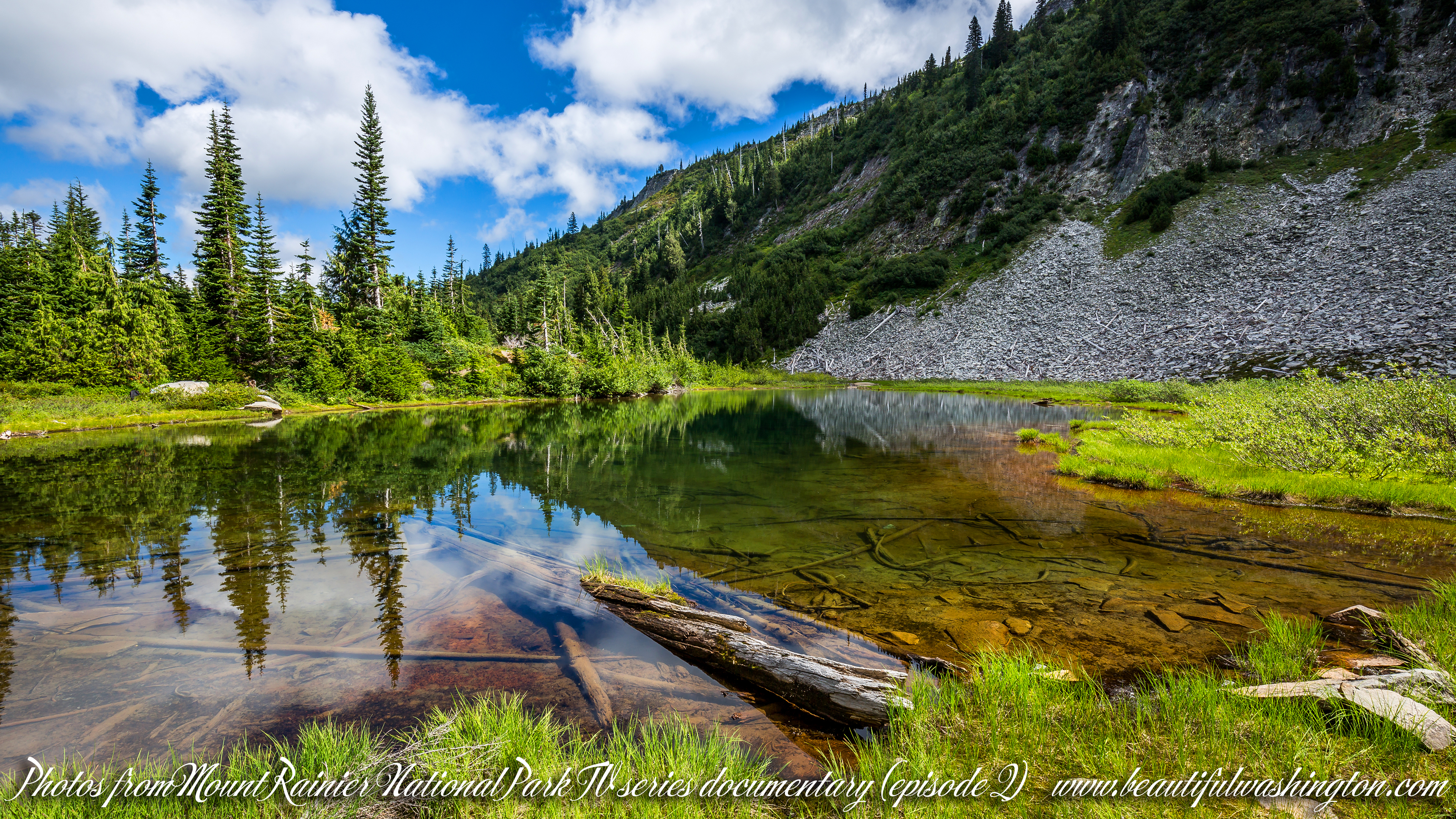 Photo from Washington State, Mount Rainier National Park