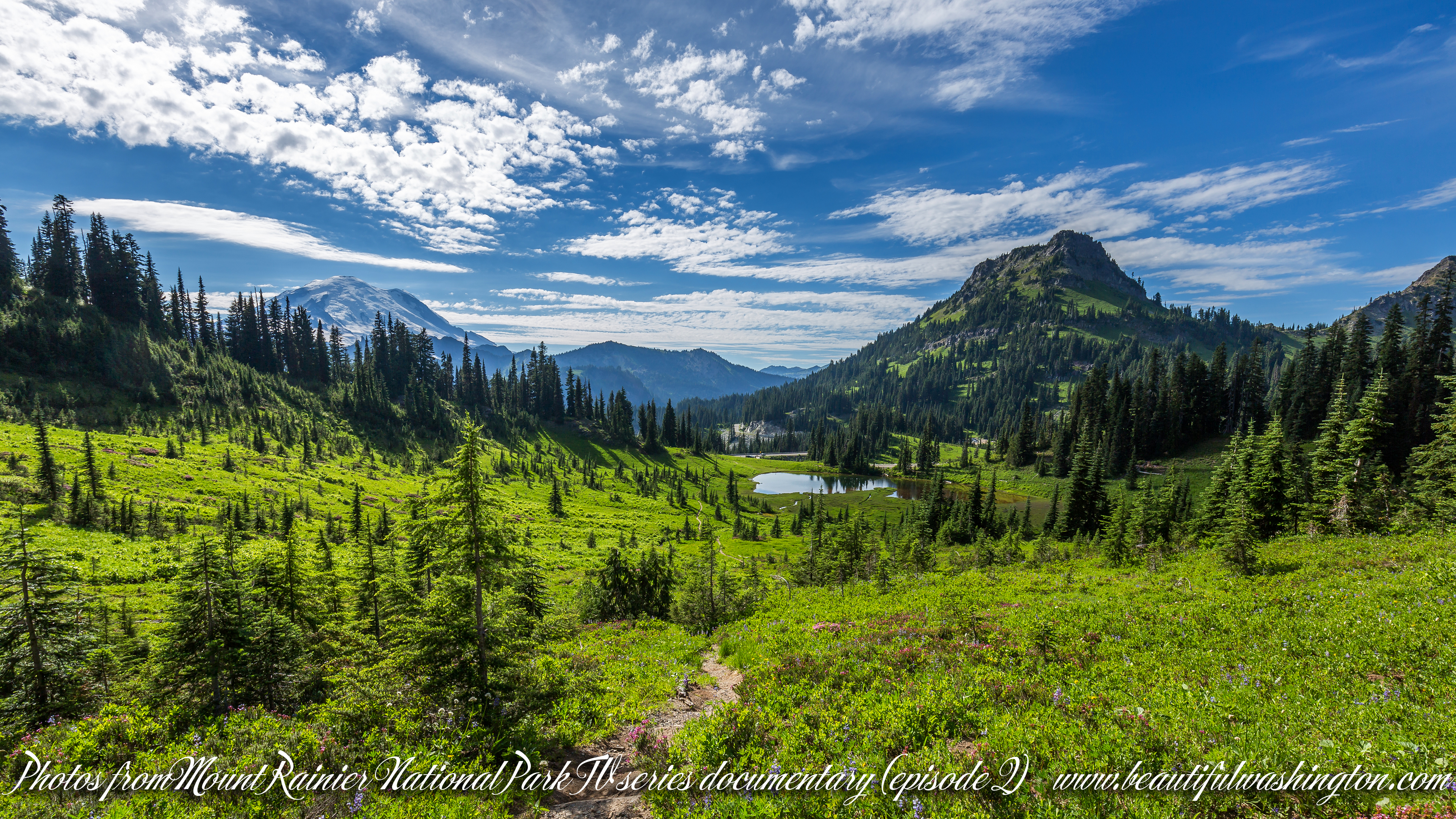 Photo from Washington State, Mount Rainier National Park
