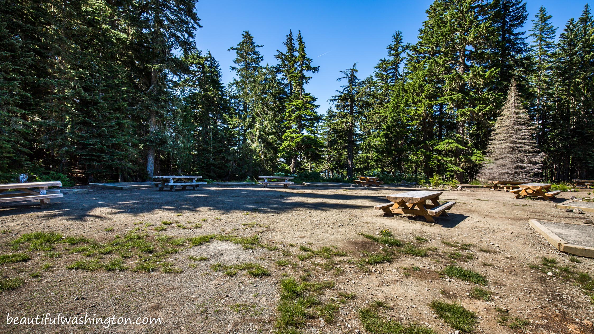 Photo from Mount Rainier National Park, Mowich Lake Campground