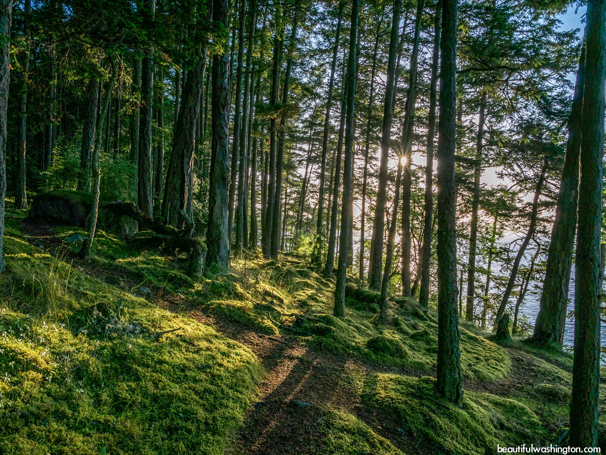 Photo from North Cascades, Friday Harbor, Mount Finlayson Trail