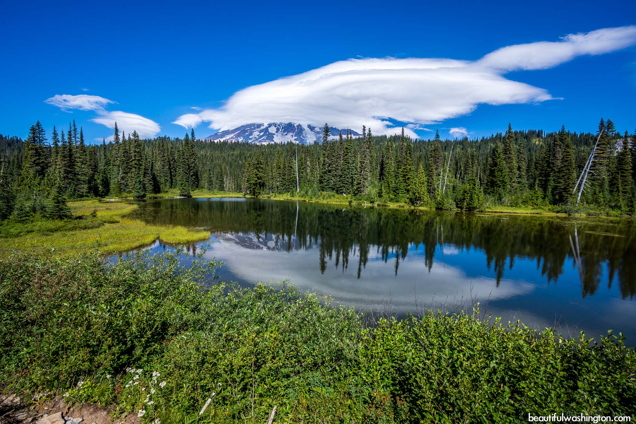 Photo from Reflection Lake trail, Mt. Rainier