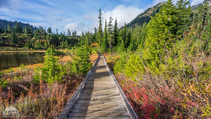 Photo from the Picture Lake Trail, taken in autumn, North Cascades Region, Mt. Baker Area