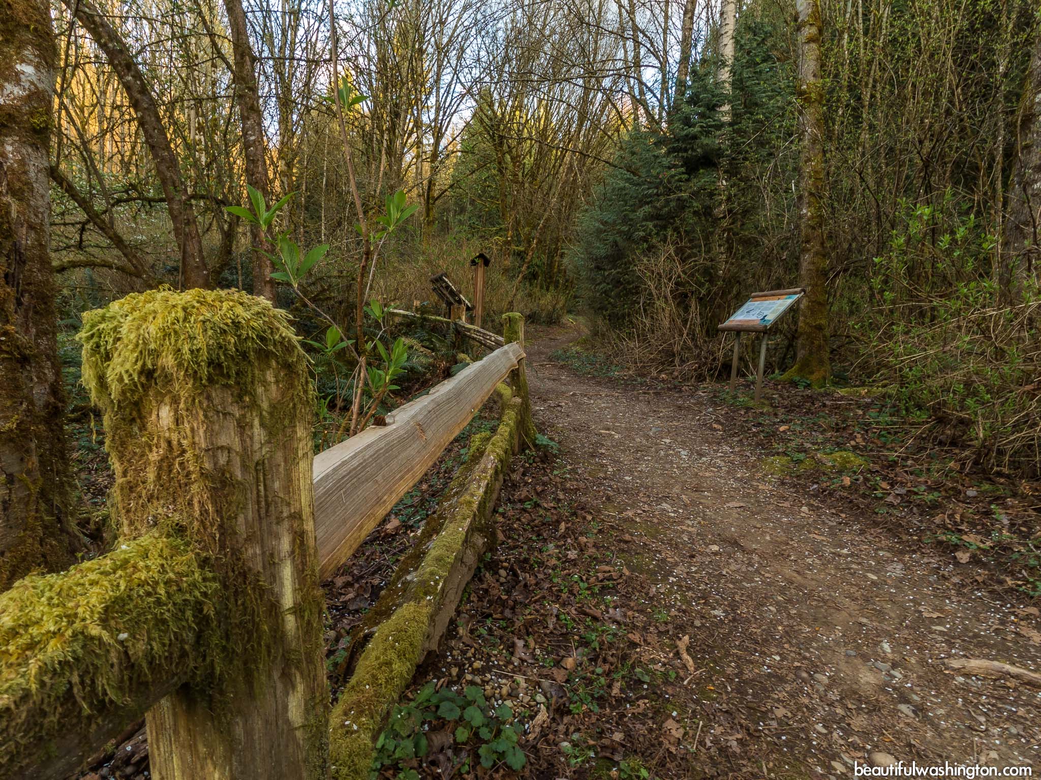 Photo from King County, Issaquah, Redtown Meadow Trail
