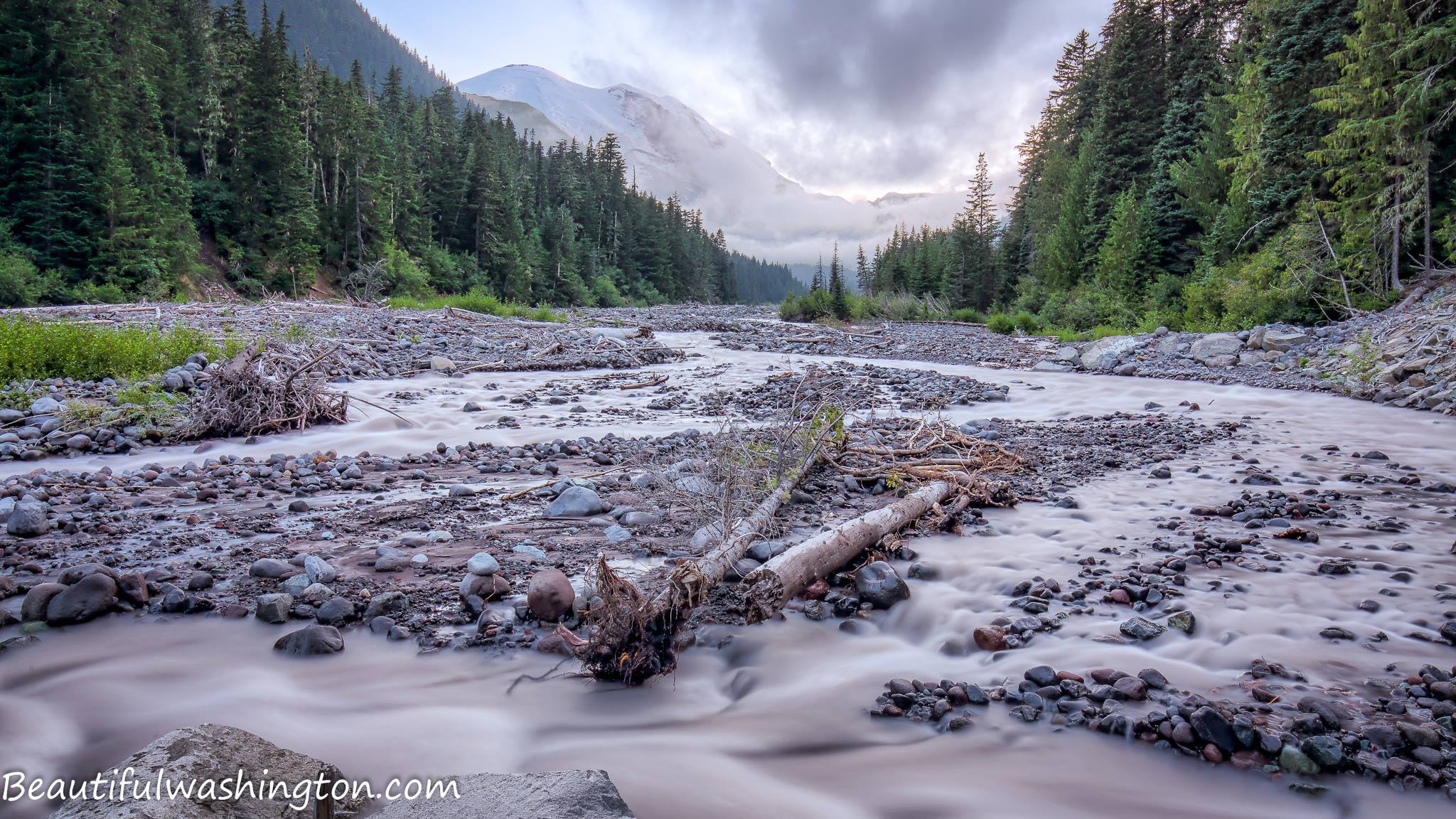 Photo from the Mount Rainier Region, Washington State
