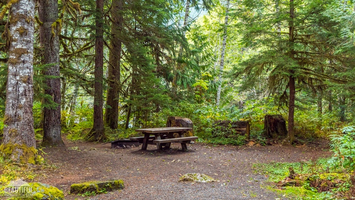 Photo from Silver Fir Campground, North Cascades Region, Mt. Baker area