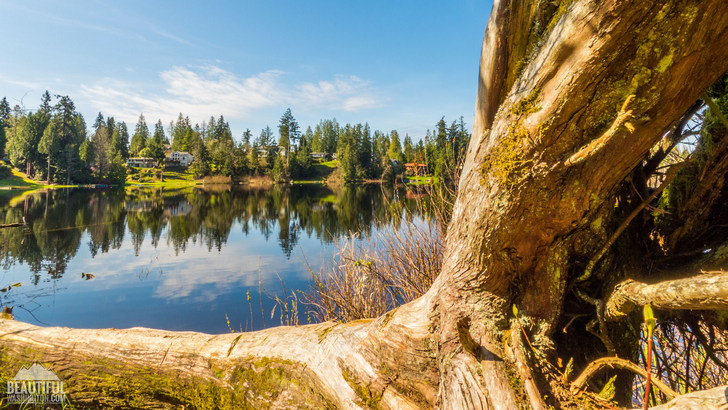 Photo taken at Spring Lake / Lake Desire Park, King County, Washington State