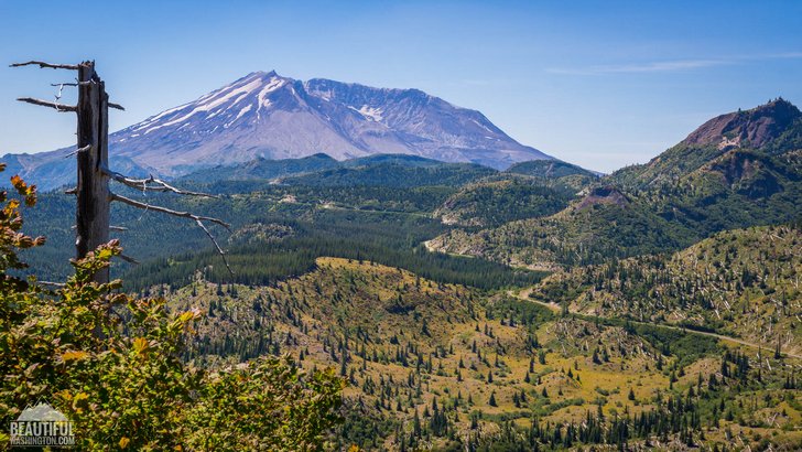 Photo taken from the trail, leading to Strawberry Mountain Lookout Site, Mount St. Helens National Monument, South Cascades