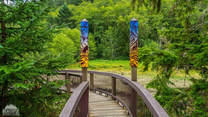 Photo of the Willapa Art Trail and the Cutthroat Climb Trail, located at Willapa National Wildlife Refuge, Pacific County